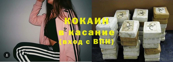 индика Беломорск