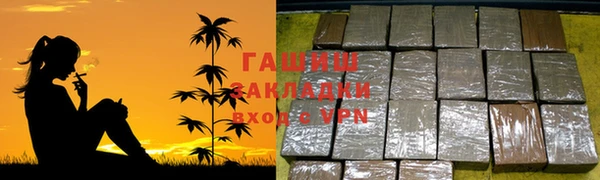индика Беломорск