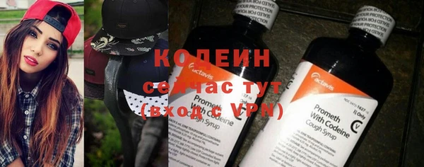 индика Беломорск