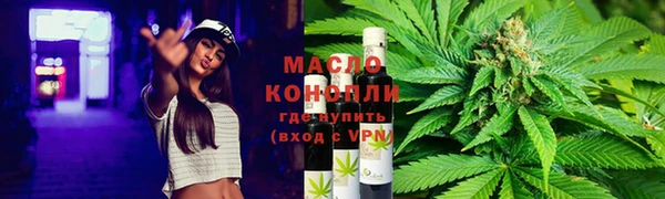 индика Беломорск